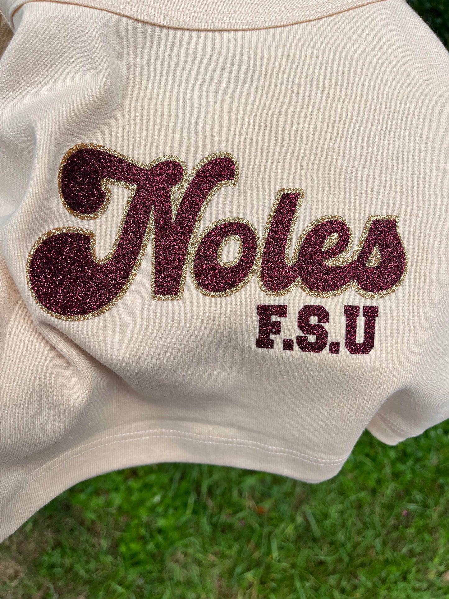 Cute FSU Noles Cami Crop